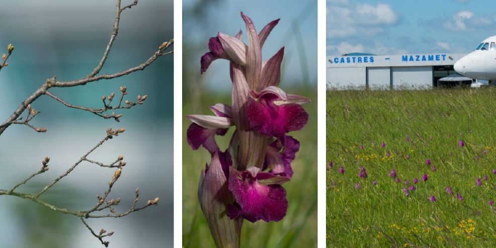 hopbiodiversite_12-10-16