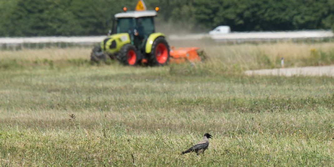 HOP! Biodiversité : Les adhérents se penchent ensemble sur les fauches Sécurité, Économie, Environnement