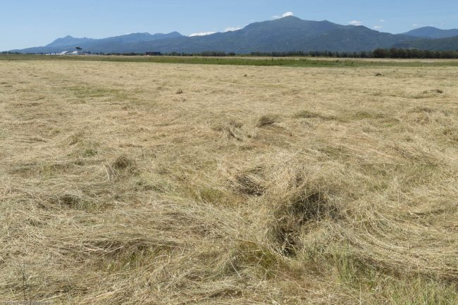 , Bastia Poretta Airport