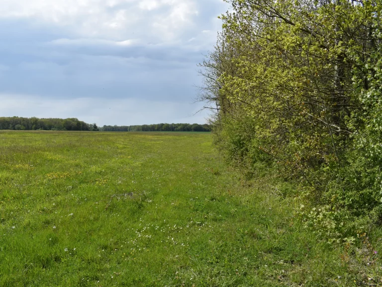 Champ de l'Aérodrome Jean-Baptiste Salis