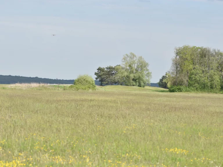 Champ de l'Aérodrome Jean-Baptiste Salis