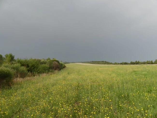 Champ de l'Aérodrome d’Alès-Cévennes