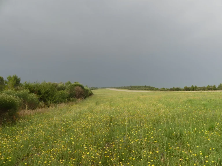 Champ de l'Aérodrome d’Alès-Cévennes