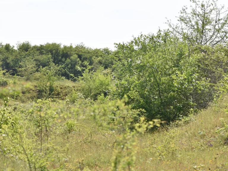 Paysage de l'Aérodrome de Châteaudun