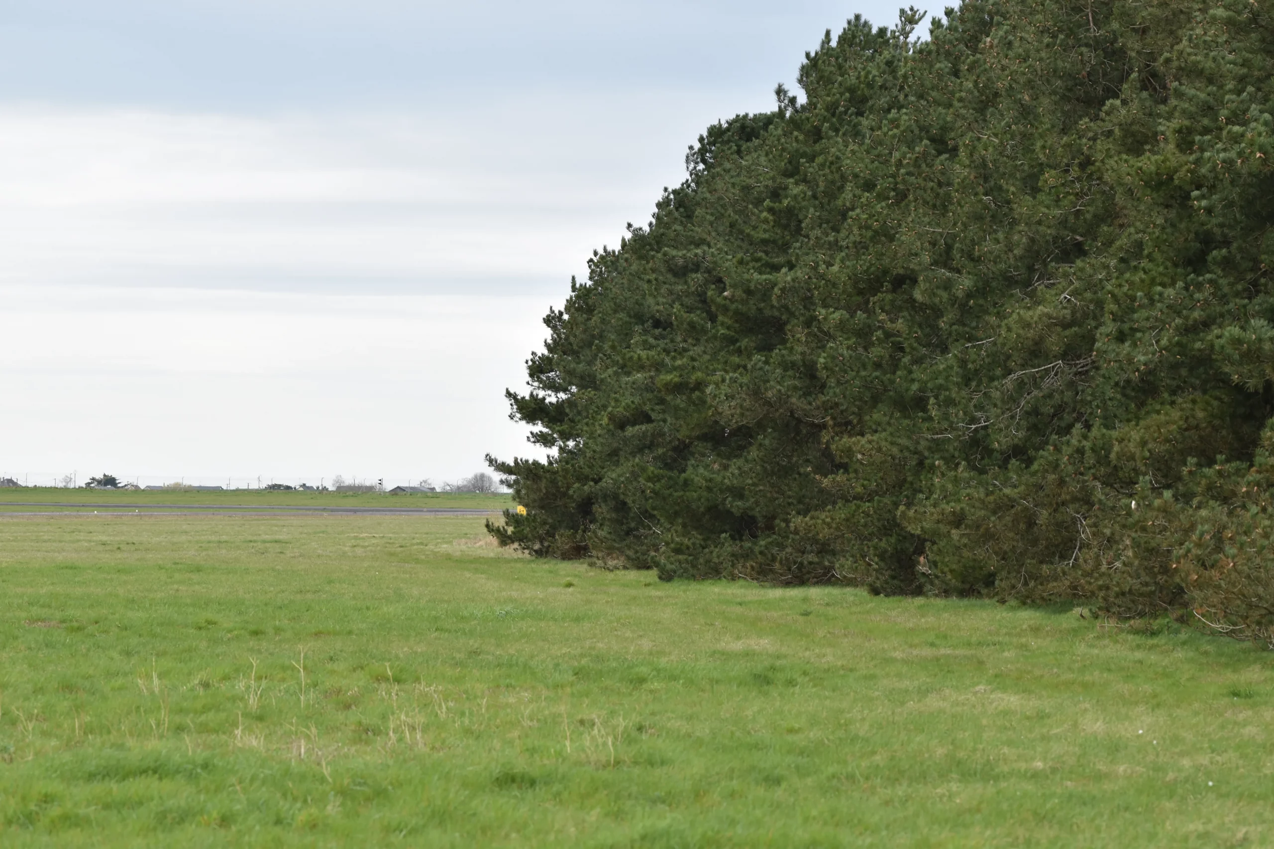 Piste et champ de l'Aérodrome de Châteaudun