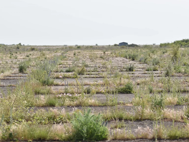 Piste de l'Aérodrome de Châteaudun