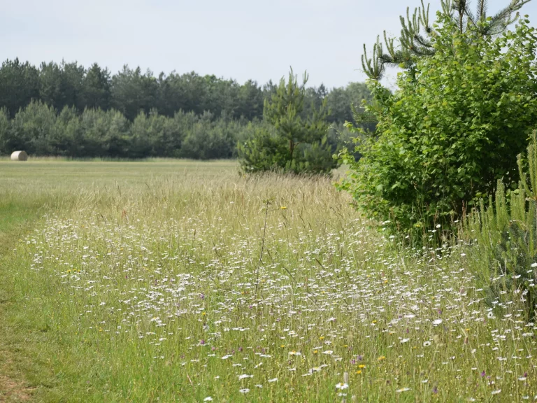 Paysage de l'Aérodrome de Falaise - Monts d'Éraines