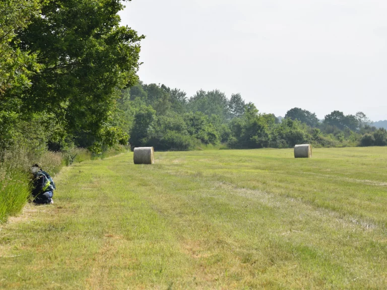 Paysage de l'Aérodrome de Falaise - Monts d'Éraines