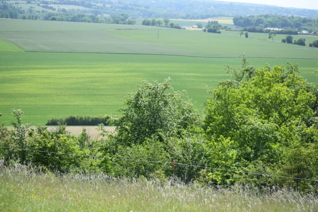 Paysage de l'Aérodrome de Falaise - Monts d'Éraines, champs