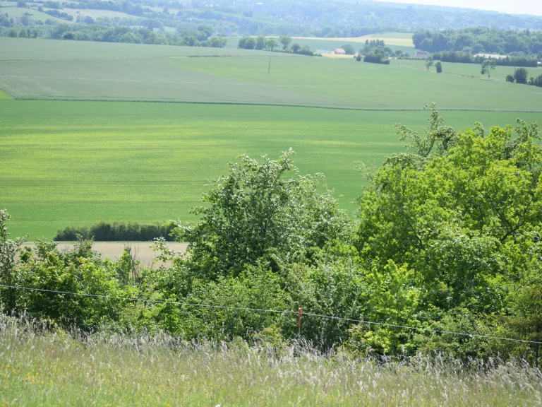 Paysage de l'Aérodrome de Falaise - Monts d'Éraines, champs