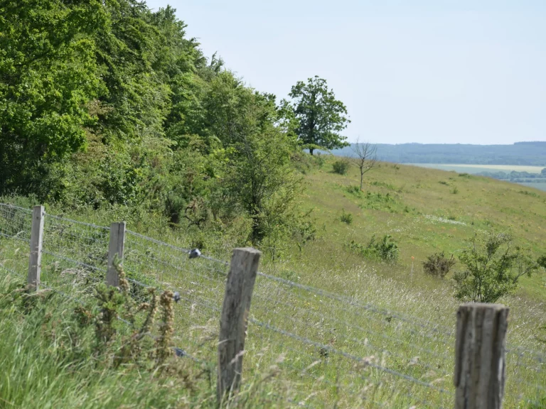 Paysage de l'Aérodrome de Falaise - Monts d'Éraines