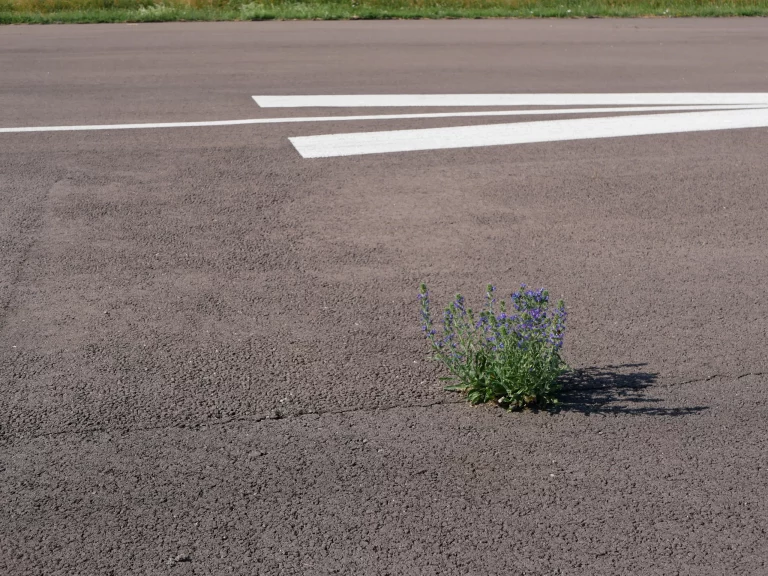 Piste à l'Aérodrome de Joigny