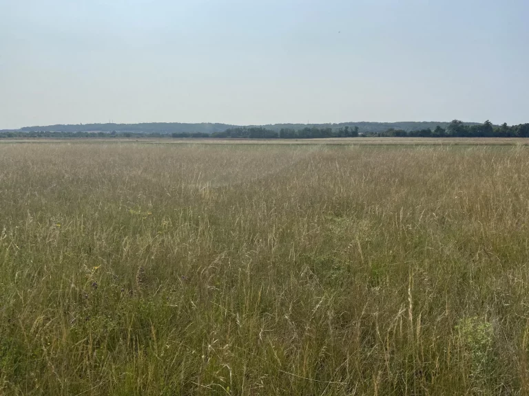 Champ de l'Aérodrome de Meaux-Esbly