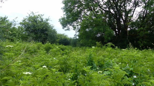 Paysage de l'Aérodrome de Montbéliard-Courcelles