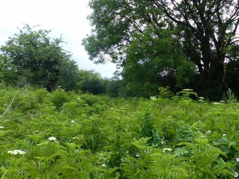 Paysage de l'Aérodrome de Montbéliard-Courcelles