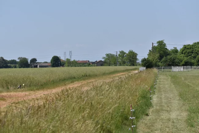 Champ autour Aérodrome de Pérouges Meximieux