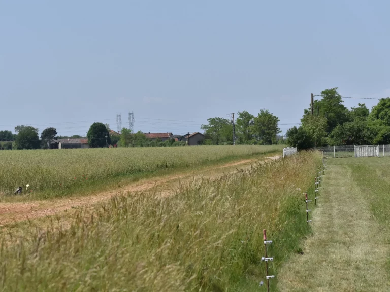 Champ autour Aérodrome de Pérouges Meximieux