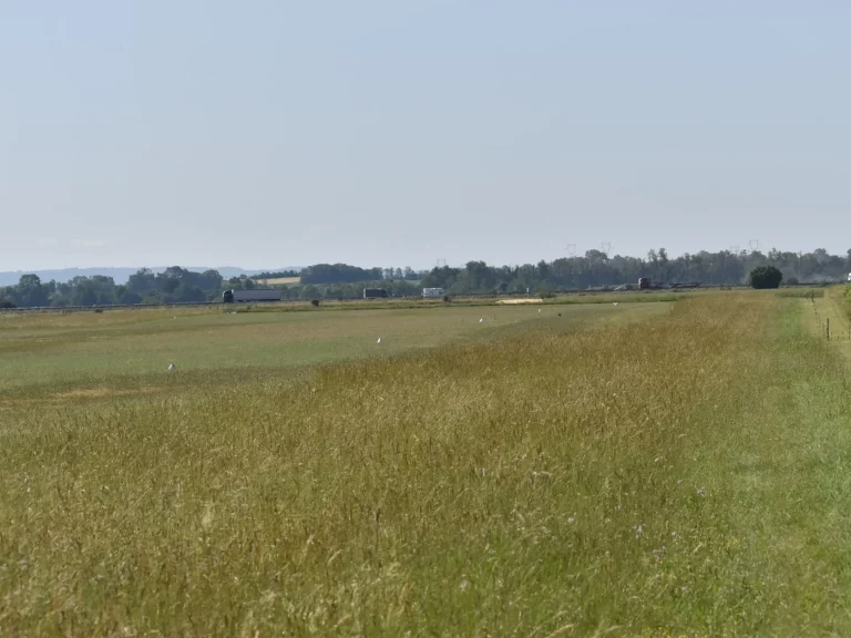 Piste et champ de l'Aérodrome de Pérouges Meximieux