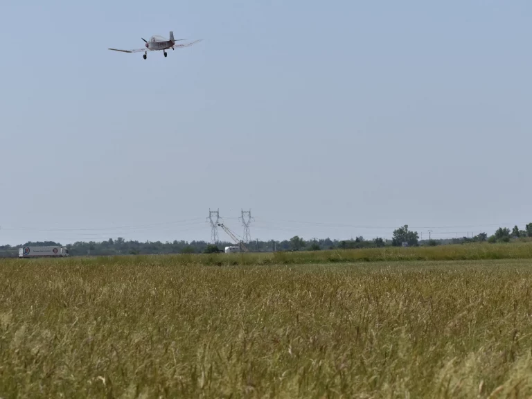 Avion atterrissant à l'Aérodrome de Pérouges Meximieux