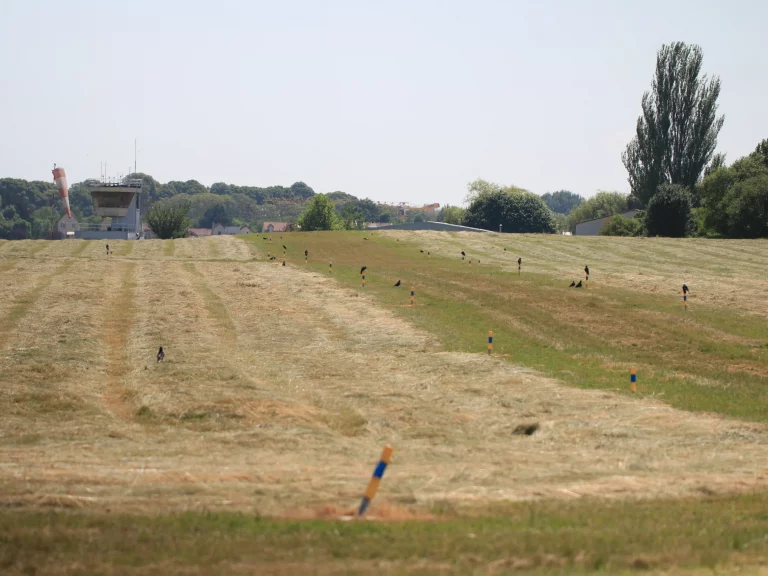 Champ à l'Aérodrome de Saint-Cyr-l'École