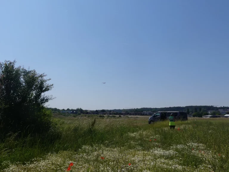 Champ de coquelicots à l'Aérodrome de Saint-Cyr-l'École