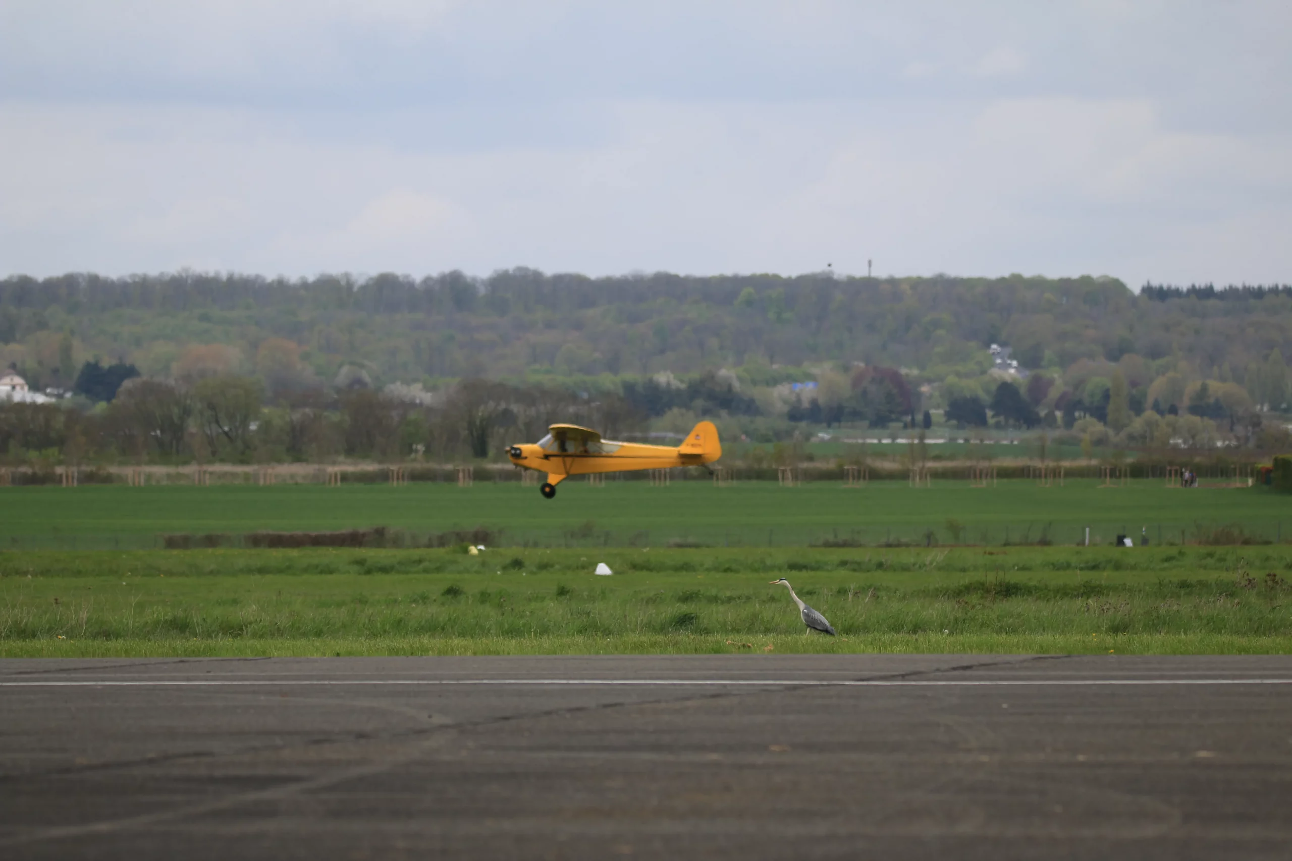 Petit avion à l'aérodrome de Saint-Cyr-l'Ecole