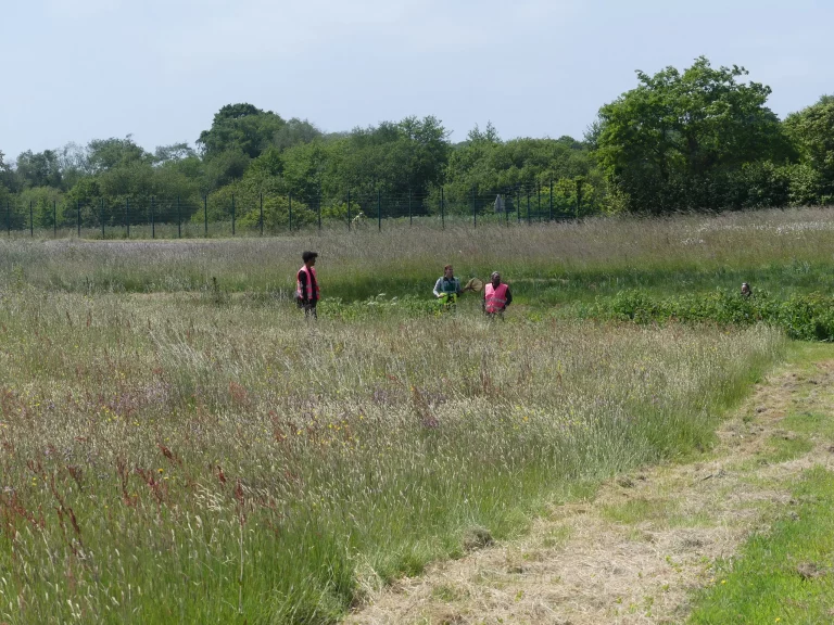 3 personnes explorent les prairies de l'Aéroport Lannion - Côte de Granit Rose