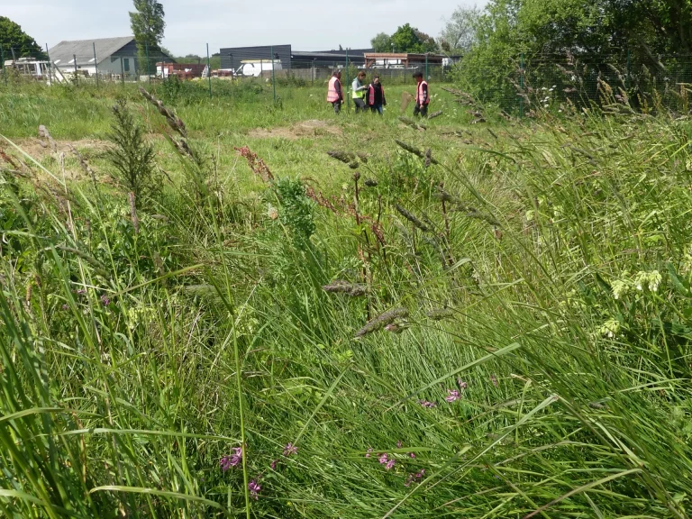 Aéroport Lannion - Côte de Granit Rose