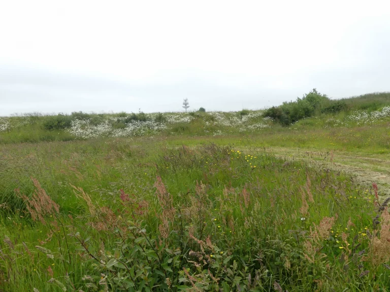 Champ de l'Aéroport Lannion - Côte de Granit Rose