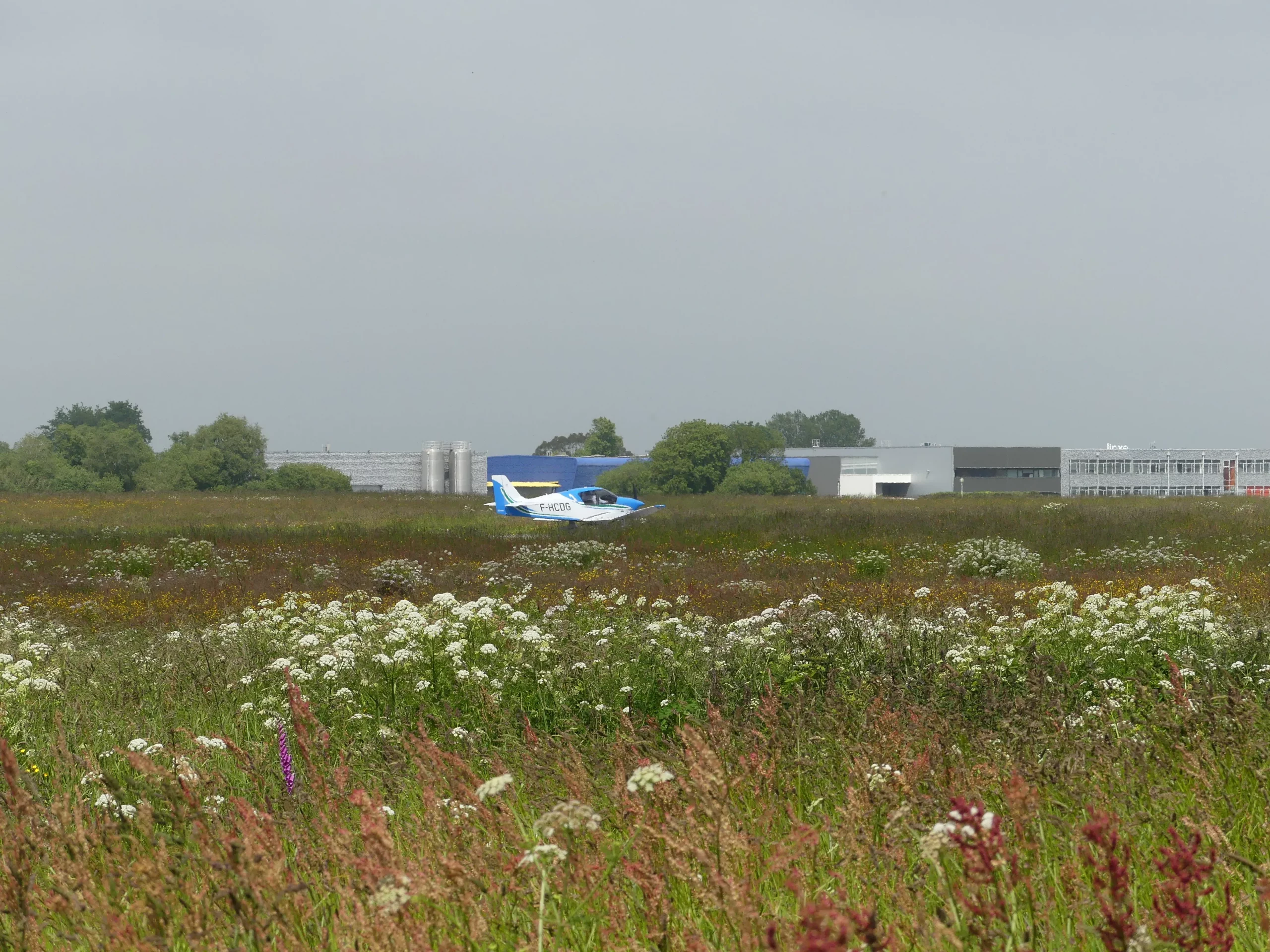 Avion sur la piste de l'Aéroport Lannion - Côte de Granit Rose