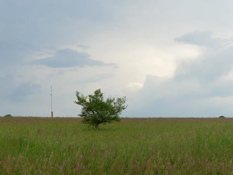 Champ Aéroport Rodez Aveyron