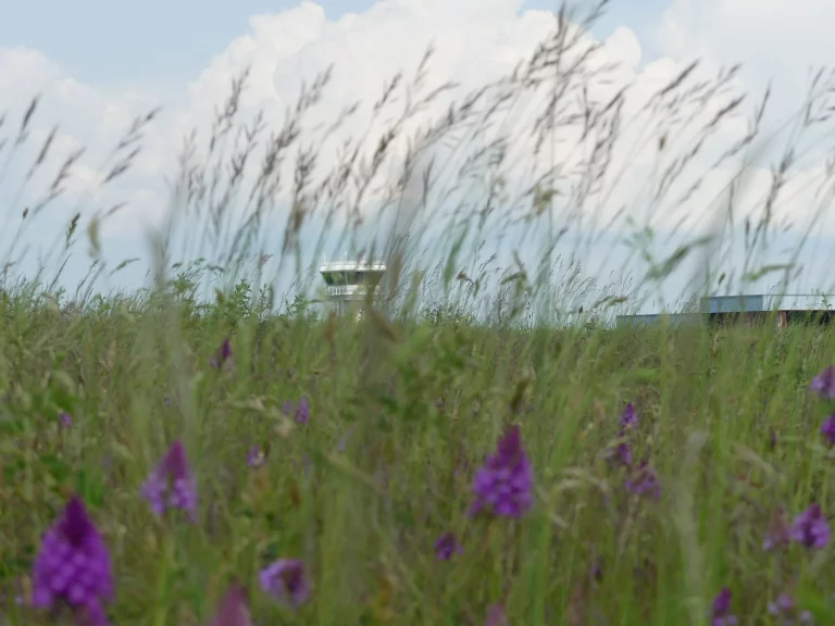 Champ et tour de contrôle Aéroport Rodez Aveyron