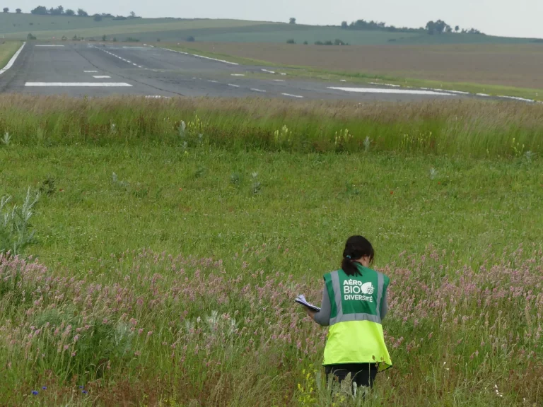 Piste et personne recensant les espèces de l'Aéroport Rodez Aveyron