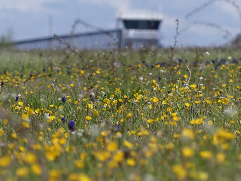Aéroport Rodez Aveyron