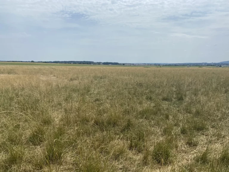 Champ de l'Aéroport de Nancy-Essey