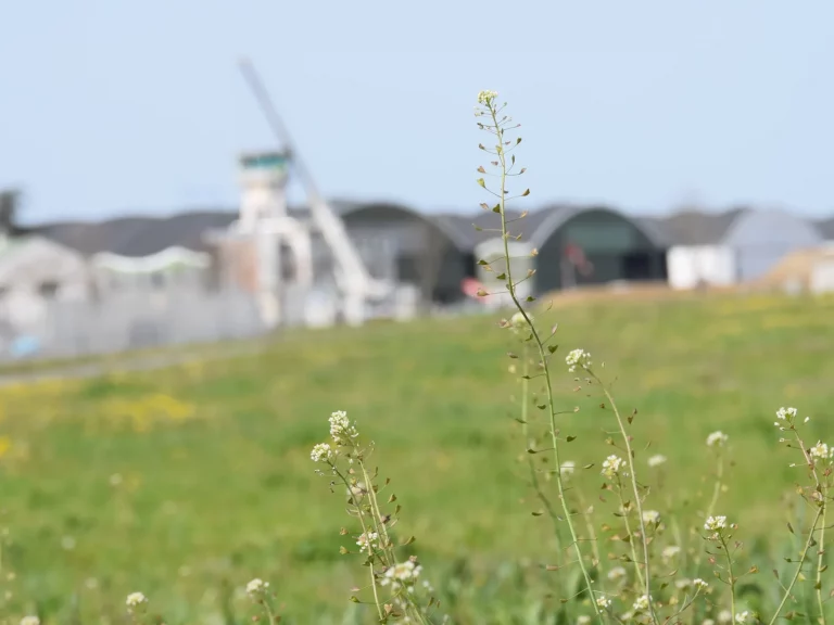 Aéroport de Toulouse Francazal