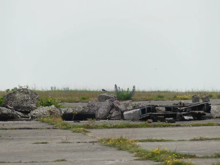 Gravats à l'aéroport de Vatry
