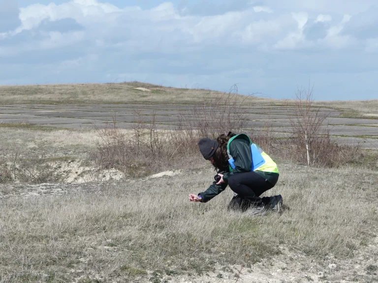 Une personne agenouillée explorant les espèces présentes à l'aéroport de Vatry